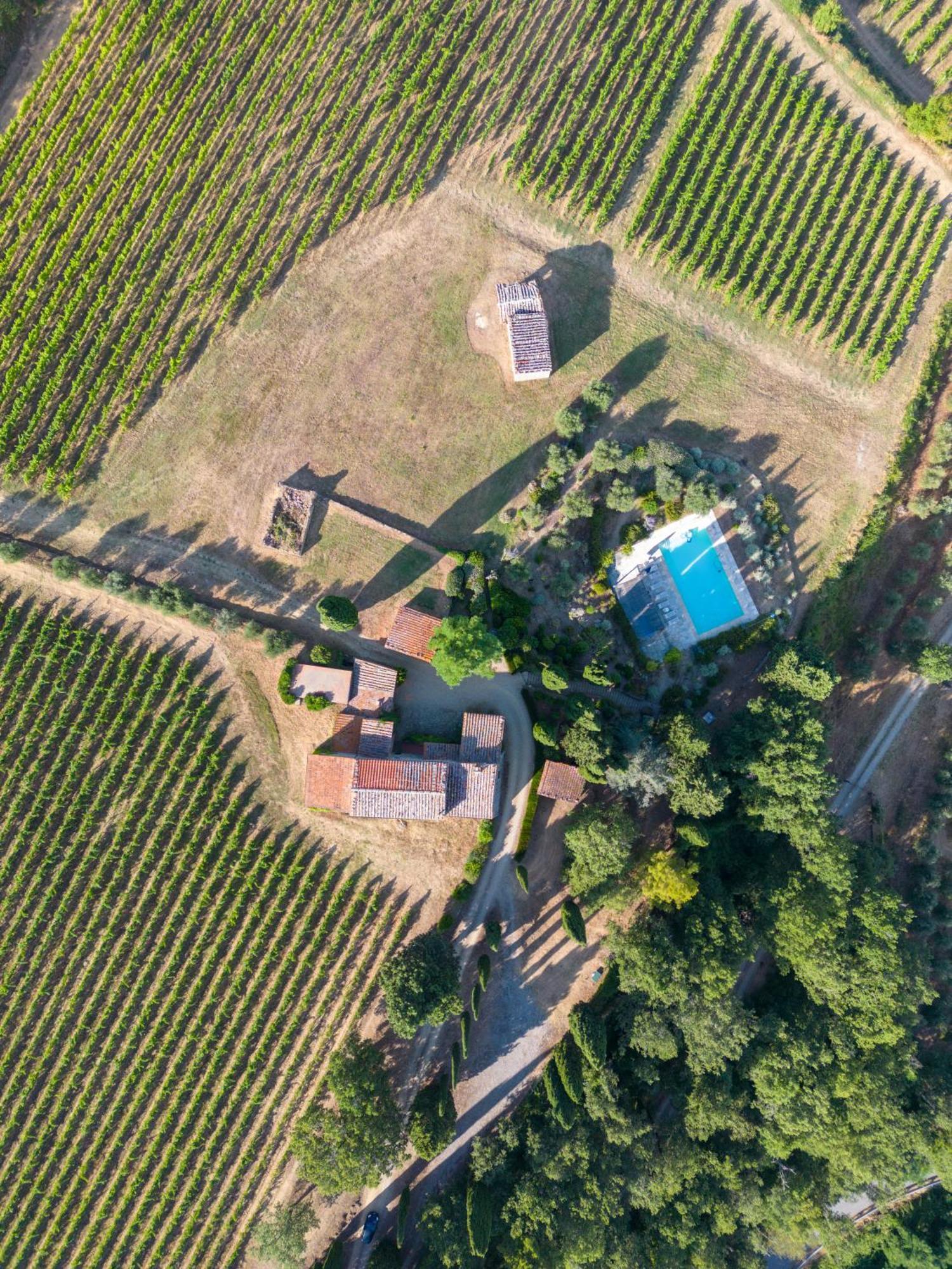 Villa Il Poggio Greve in Chianti Εξωτερικό φωτογραφία